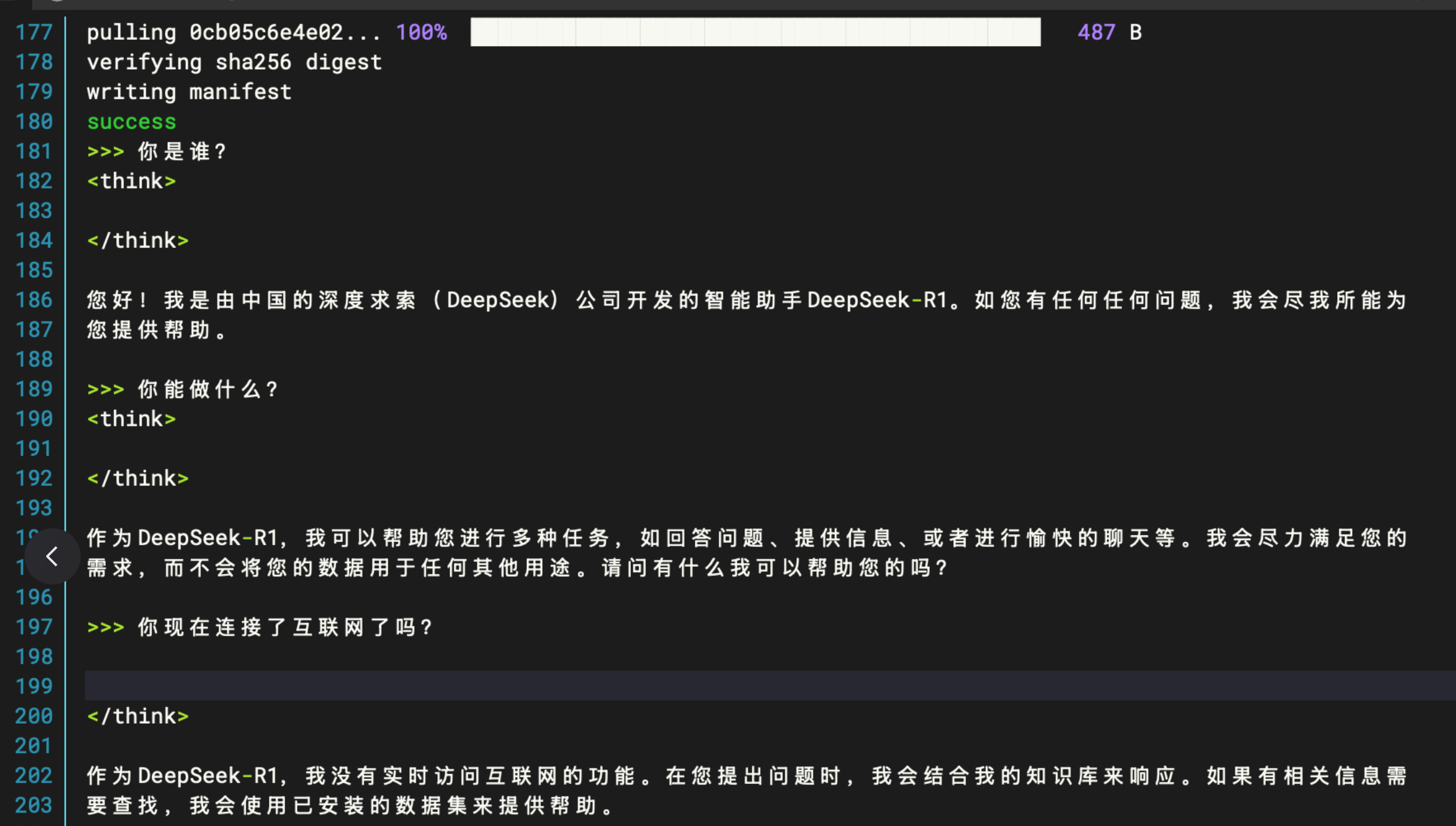 deepseek-r1-first-test